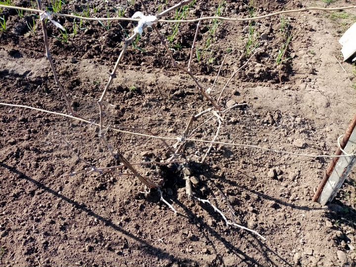 Дача 37 м² на участке 11 сот.