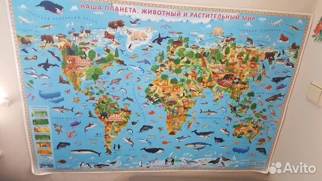 Настенная карта мира