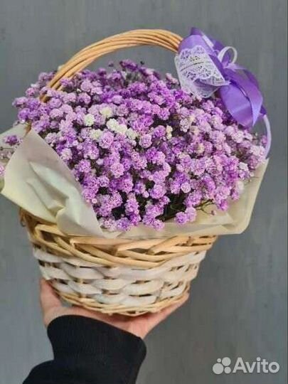 Гипсофила цветы