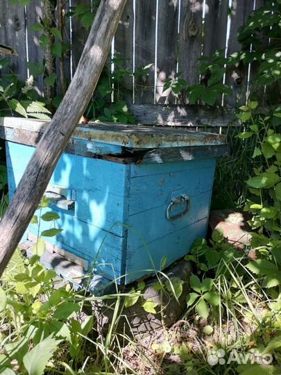 Улей для пчел