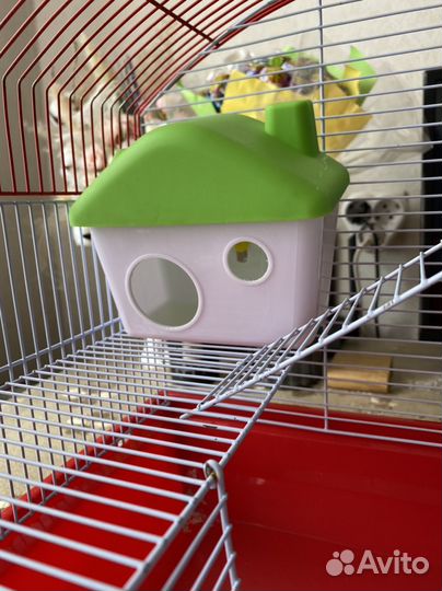 Клетка для хомяка
