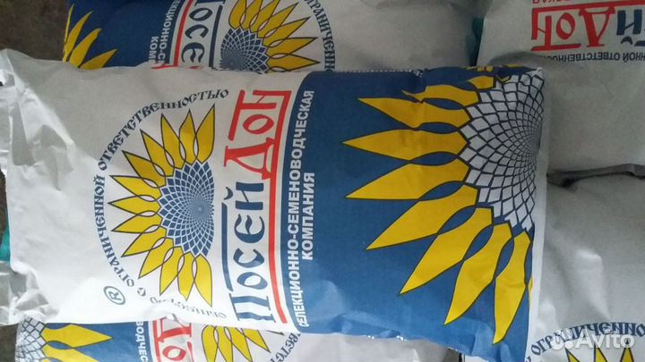 Семена подсолнечника