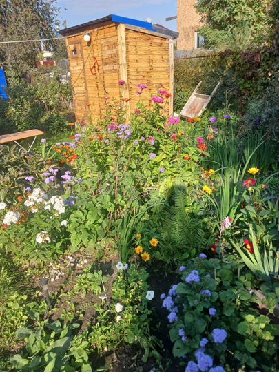 Участок 8,5 сот. (СНТ, ДНП)