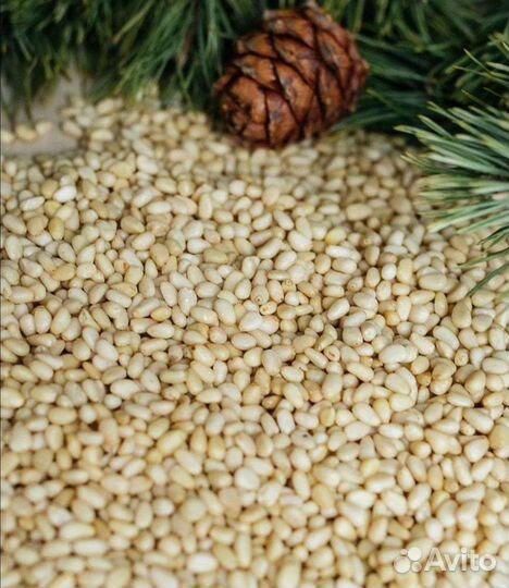 Кедровый орех очищенный