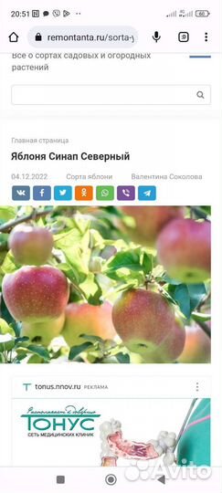 Яблони СССР