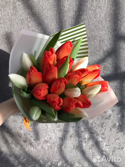 Цветы тюльпаны