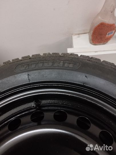 Tigar Winter 205/55 R16 94H