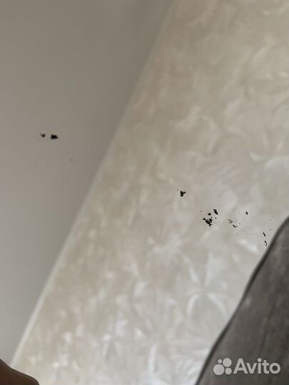 Зеркало б/у 80 на 40