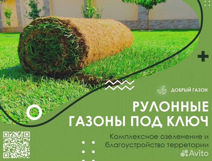 Рулонный газон