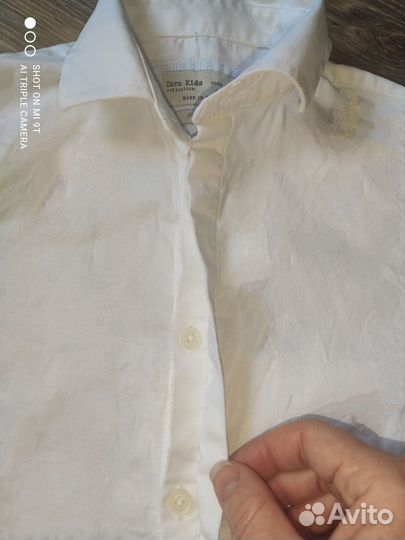 Рубашка белая школьная zara 122