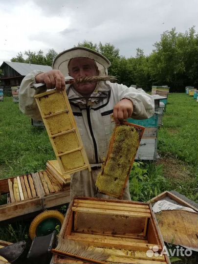Алтайский мёд