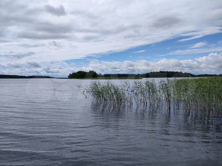 Участок 4,8 га (ИЖС)