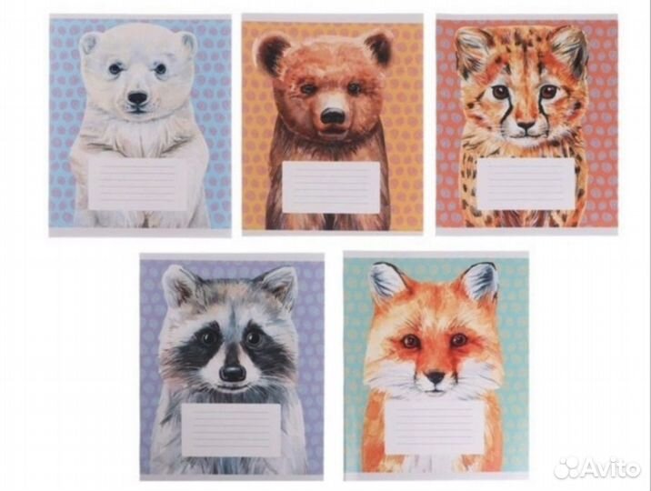 Тетради клетка 24 листа