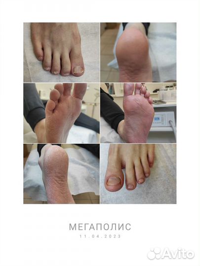 Подолог