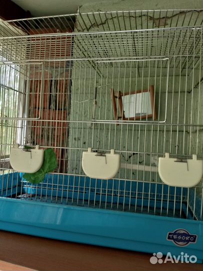 Клетка для птиц