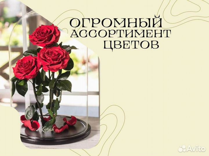 Роза в колбе. С гарантией