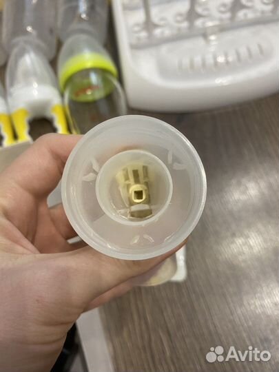 Молокоотсос medela