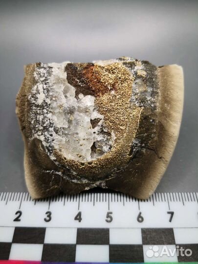 Спектропирит (марказит) в обломке конкреции