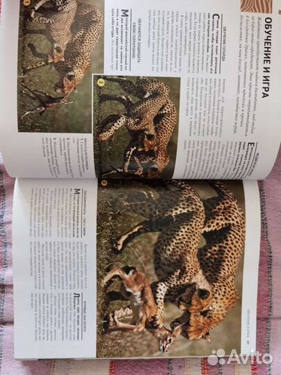 1000 чудес природы ридерз дайджест