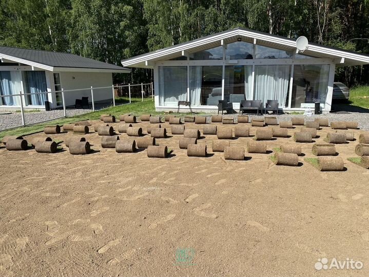 Рулонный газон от производителя