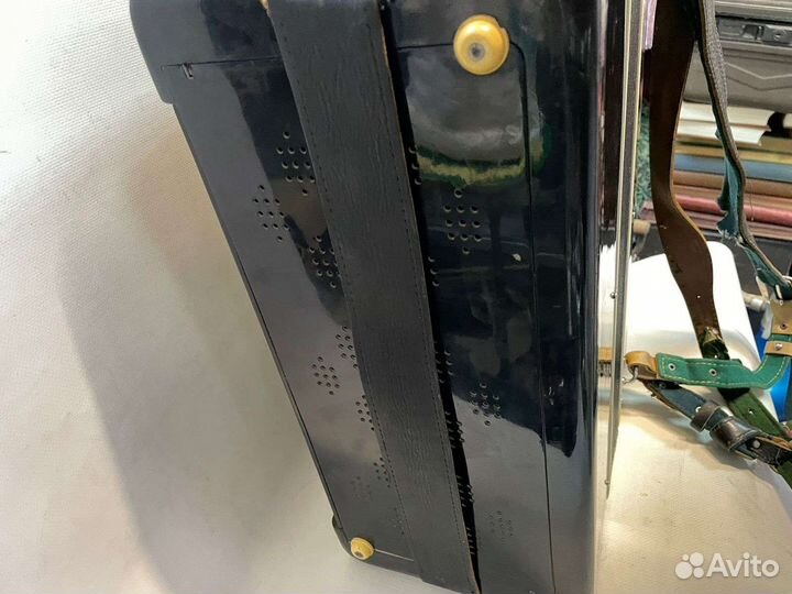 Баян тульский