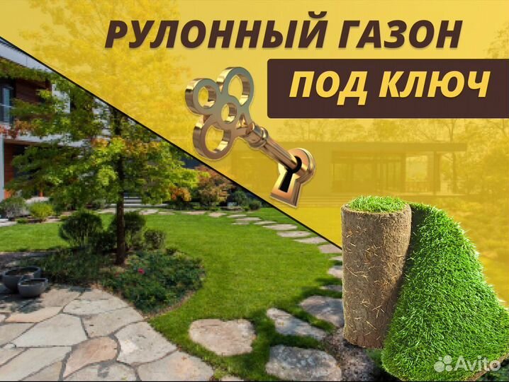 Рулонный газон доставка укладка