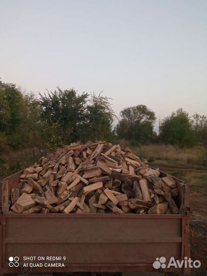 Продам дрова сухие