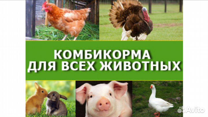 Продажа кормов для с/х животных
