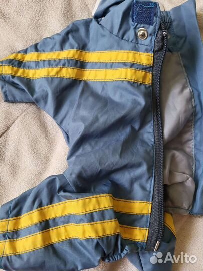 Дождевик для маленькой собаки