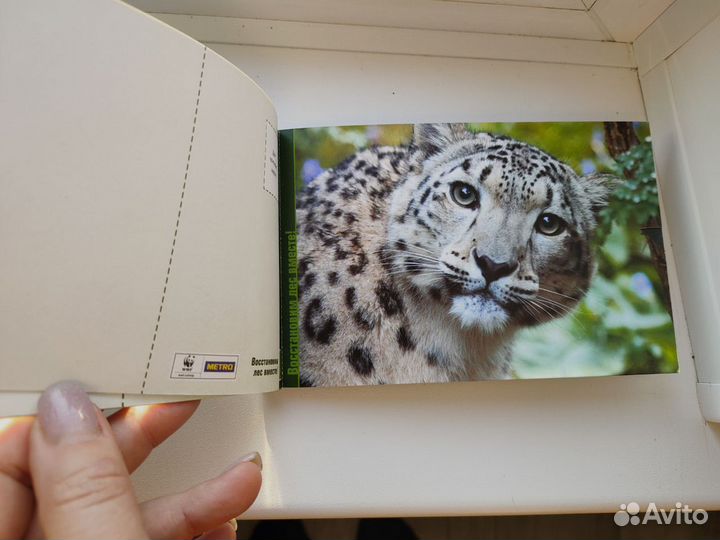 Открытки новые лес животные