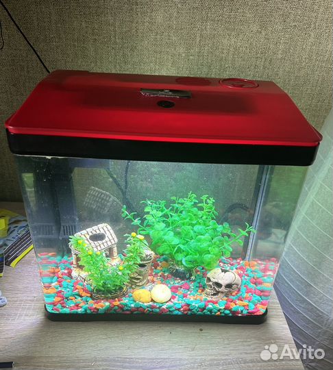 Аквариум