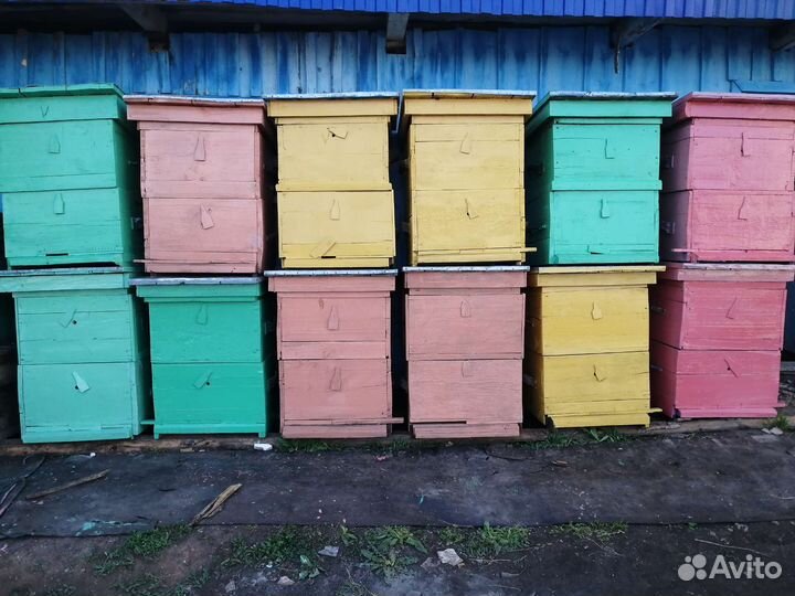 Улей для пчел бу