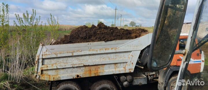 Навоз Коровы