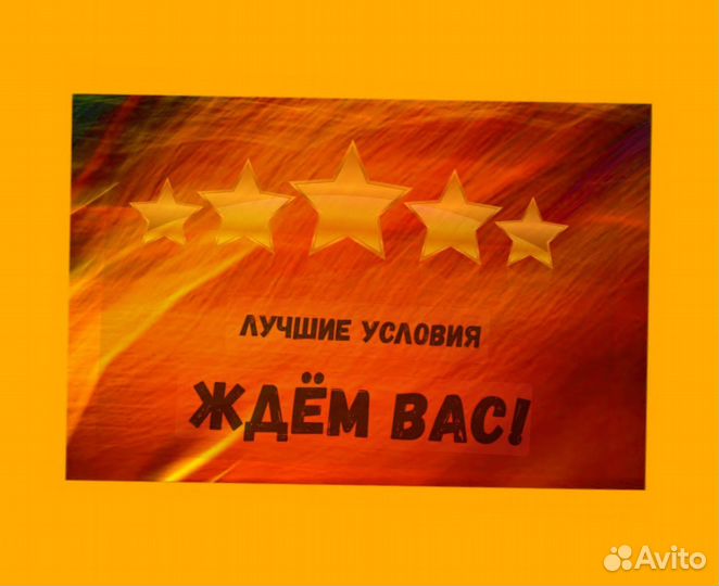 Грузчики Аванс еженедельный Без опыта