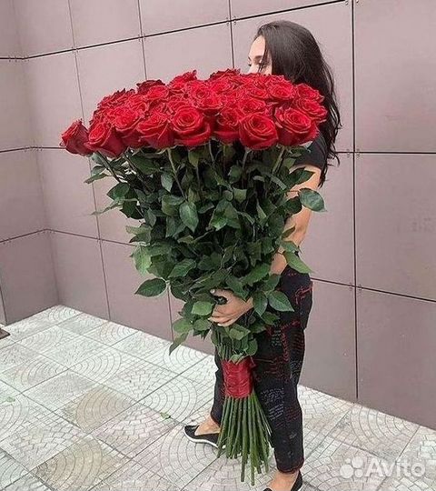 Розы Высокие 150см 160см 170см 180см 190см 2м