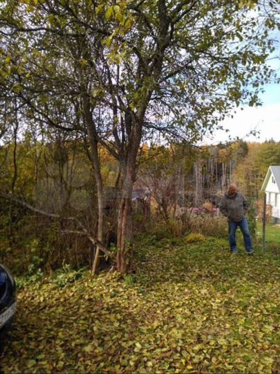 Участок 6,5 сот. (СНТ, ДНП)