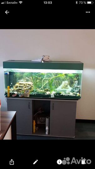 Аквариум 240 литров