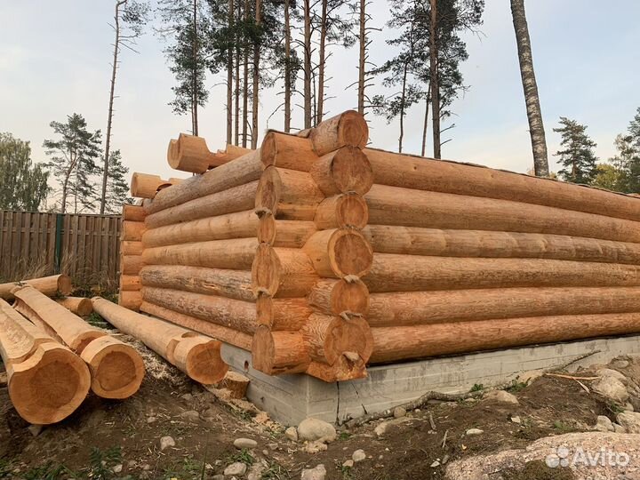 Срубы в чашу