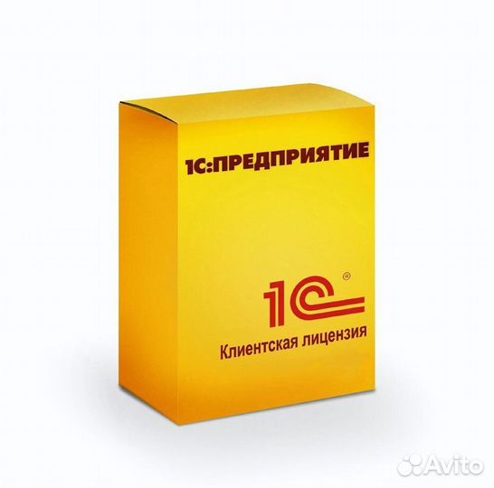 1С, Программа 1С