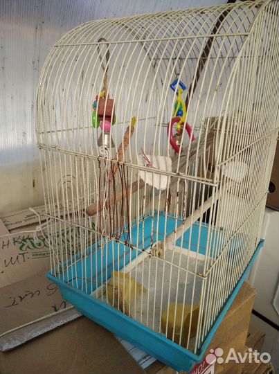 Клетка для попугая