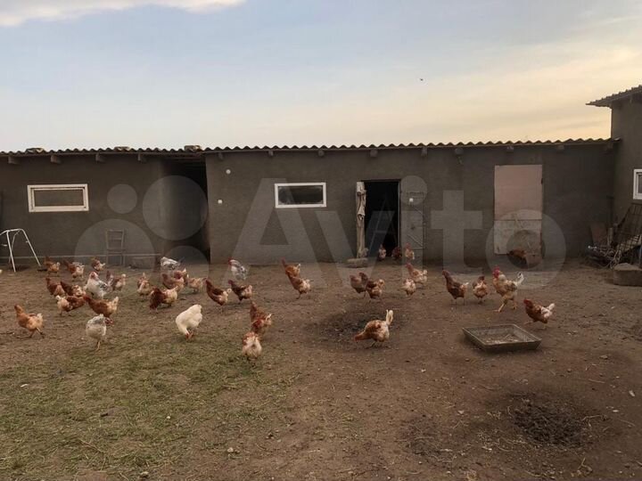 Дом 122,8 м² на участке 15 сот.