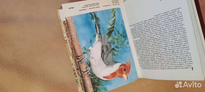 Книги Уход и содержание птиц, болезни птиц