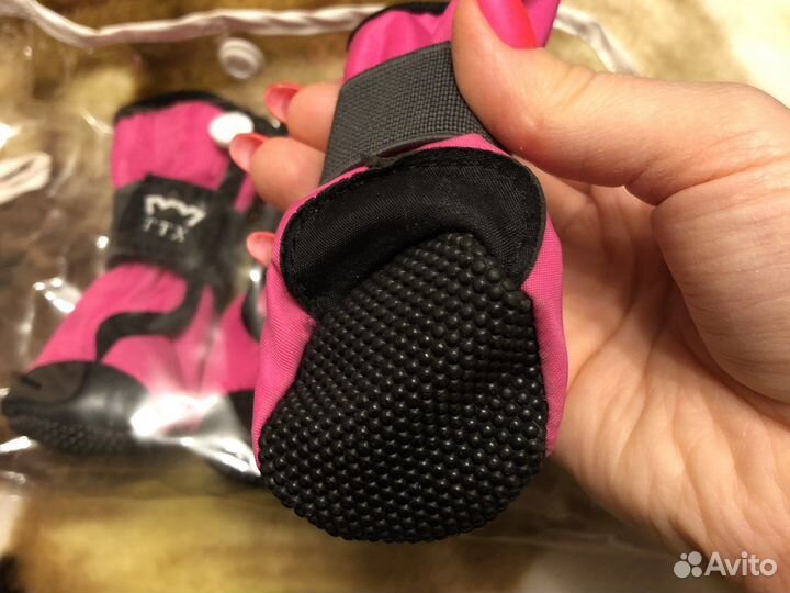 Ботинки для собак