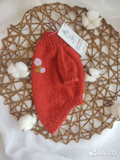 Одежда для собак