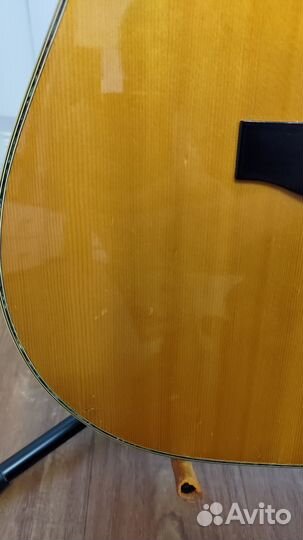 Акустическая гитара Morris W-30