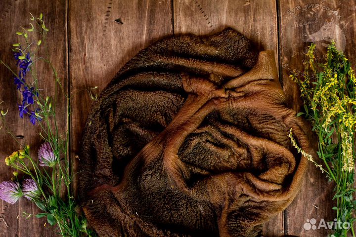 Еда для собак