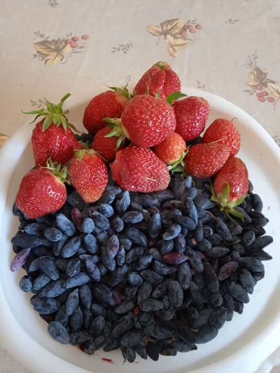 Дом 85 м² на участке 18 сот.