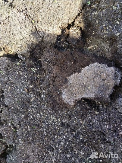 Перегной от лузги подсолнечной