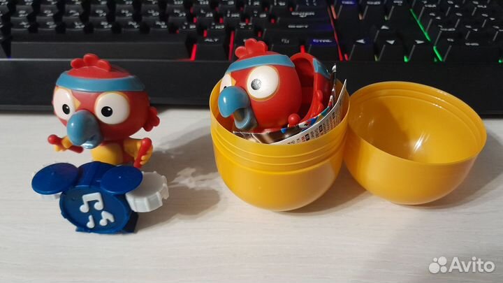 Киндер макси попугаи