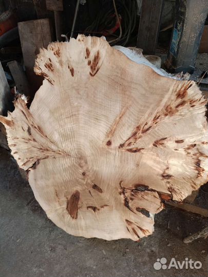 Спилы дерева